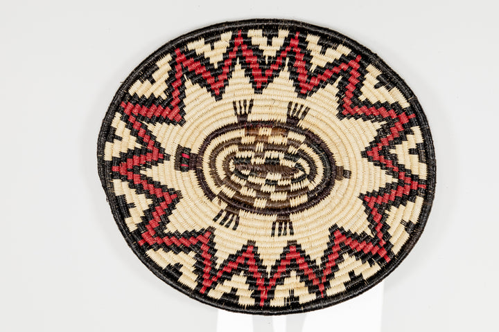 Red Eye Tortoise Basket Plate