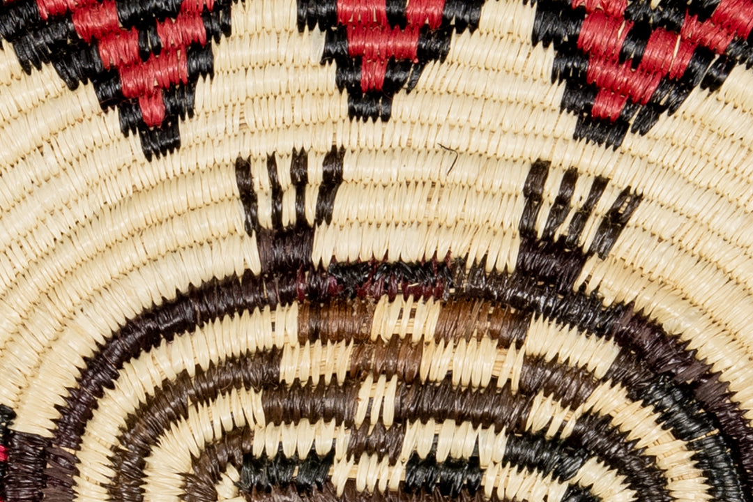 Red Eye Tortoise Basket Plate