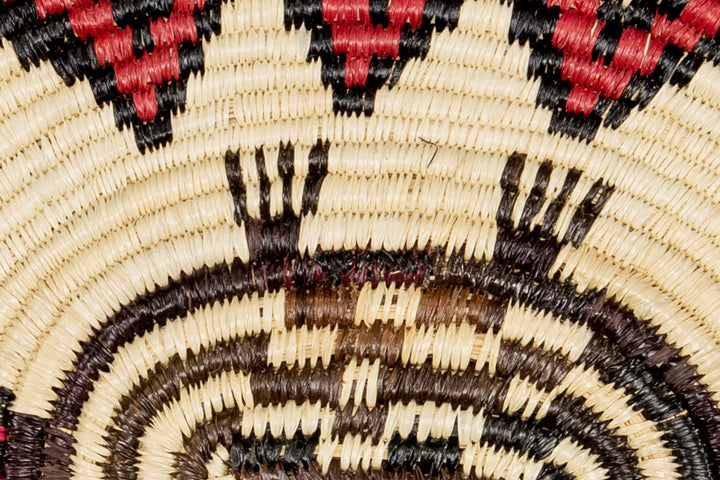 Red Eye Tortoise Basket Plate