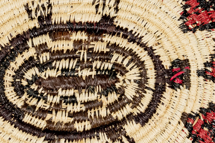 Red Eye Tortoise Basket Plate