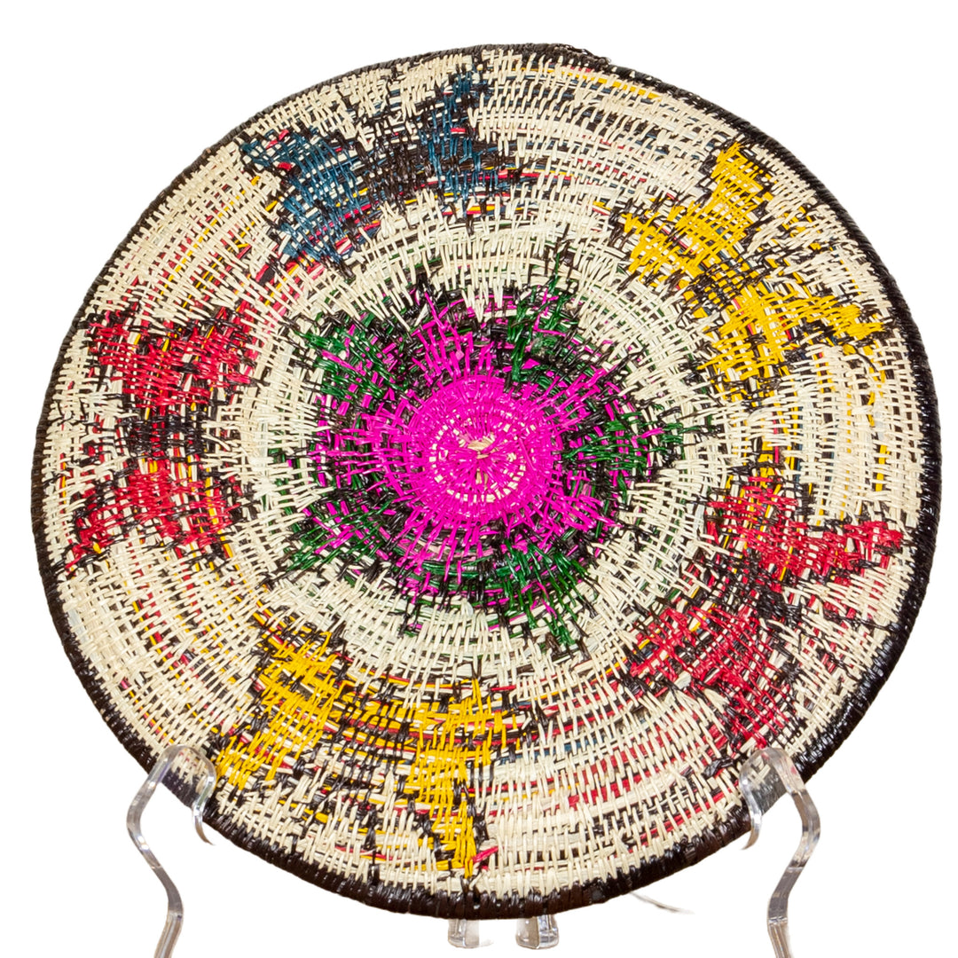 Rainbow of Color Butterfly Basket Plate