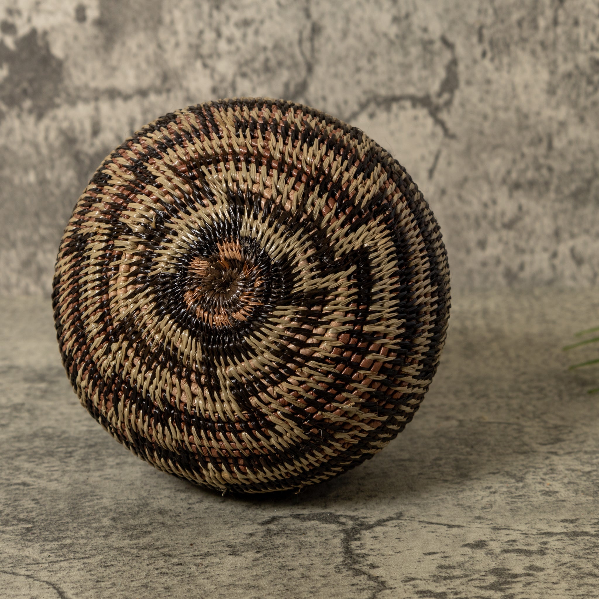 Black And Brown Sanke Spiral Rainforest Basket