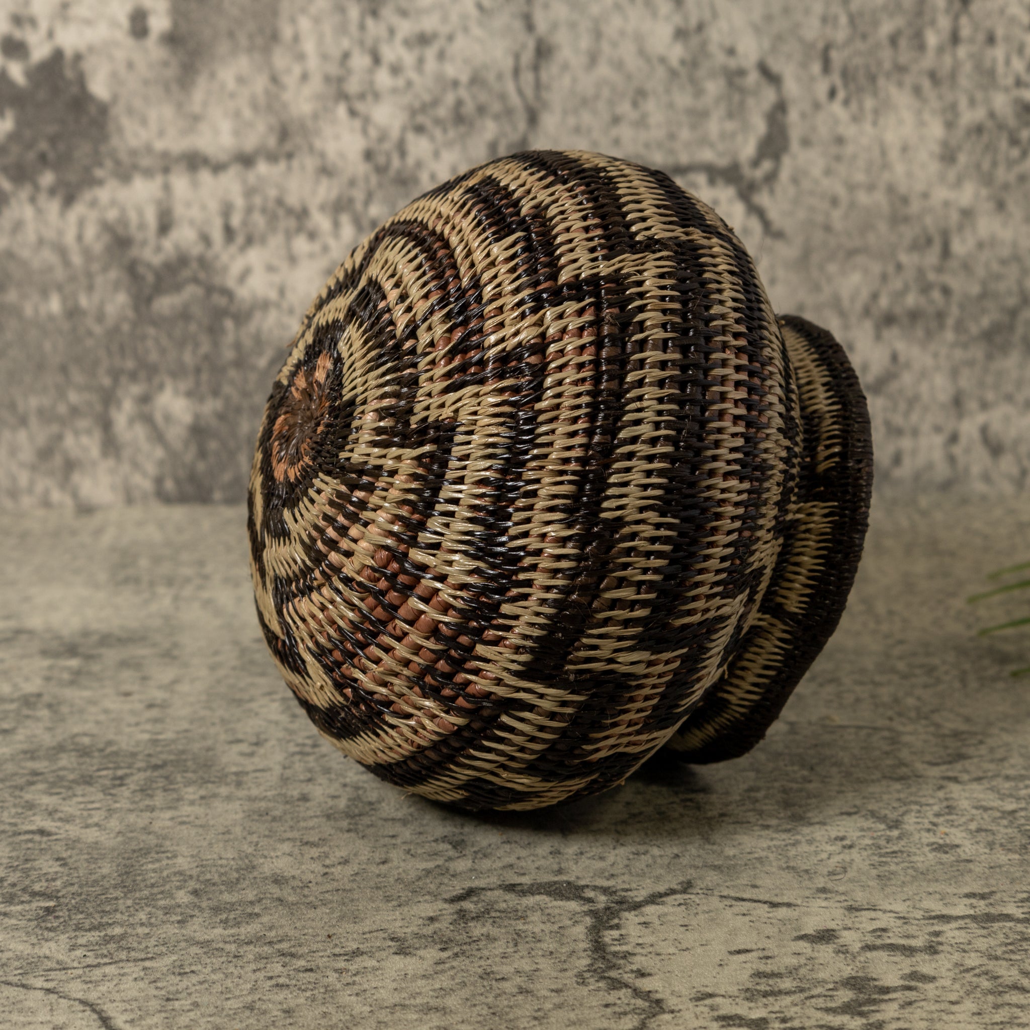Black And Brown Sanke Spiral Rainforest Basket