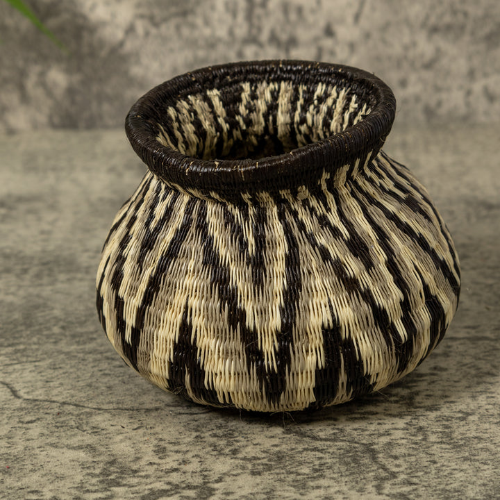 Ocean Waves Rainforest Basket