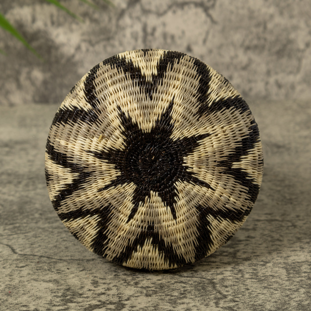 Ocean Waves Rainforest Basket
