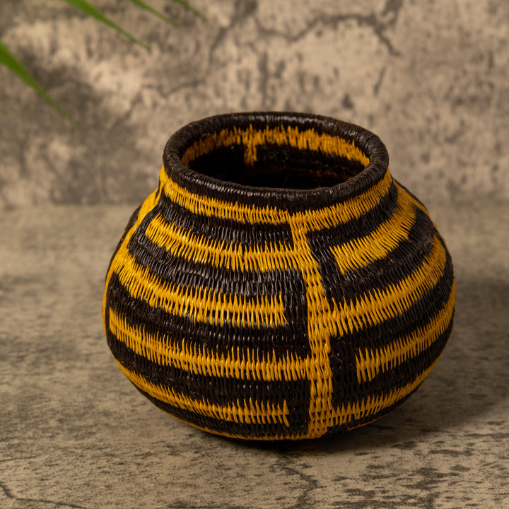 Snake Serenade Rainforest Basket