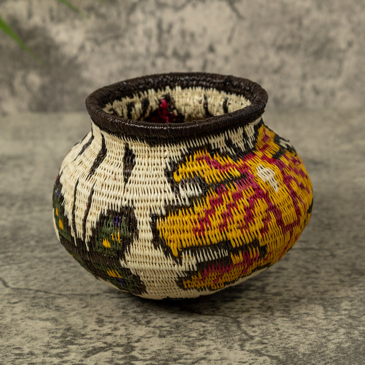 Multi-Color Butterfly Rainforest Basket