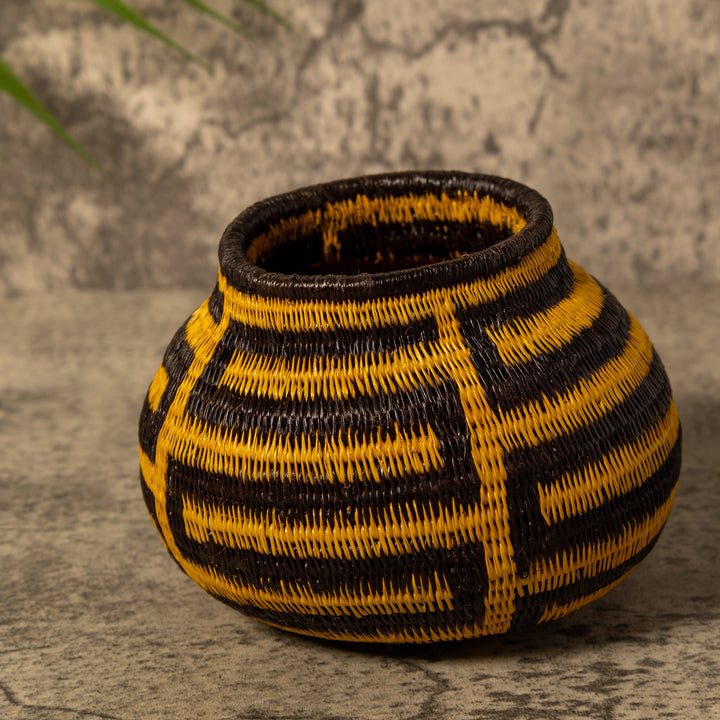 Snake Serenade Rainforest Basket