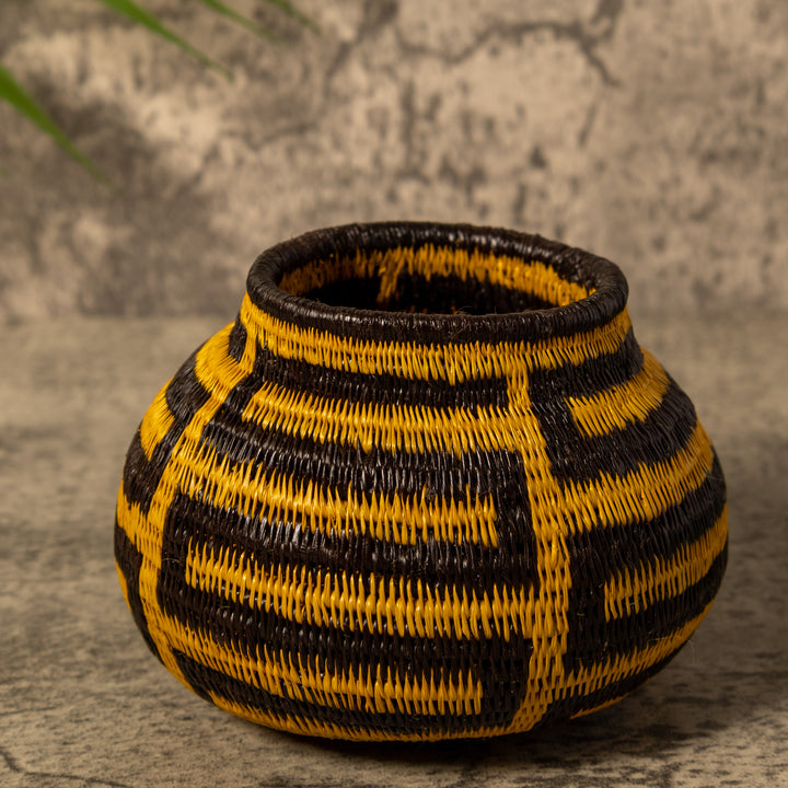 Snake Serenade Rainforest Basket