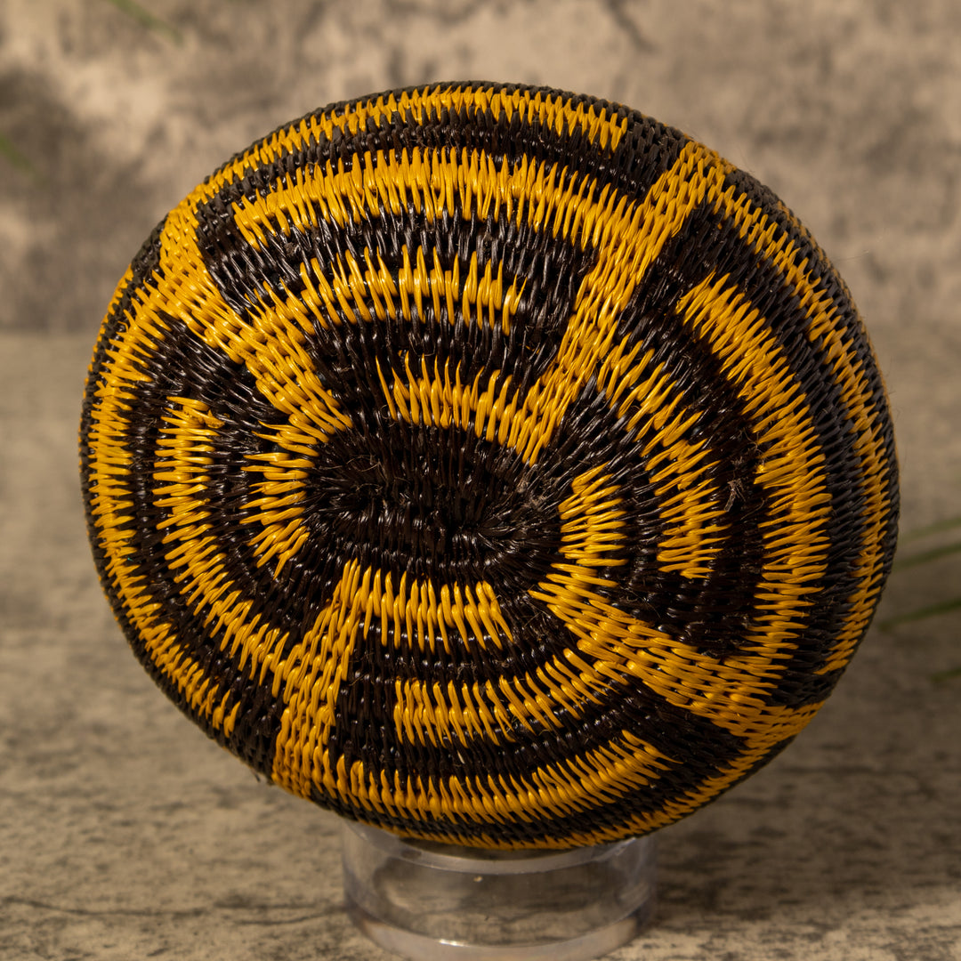 Snake Serenade Rainforest Basket