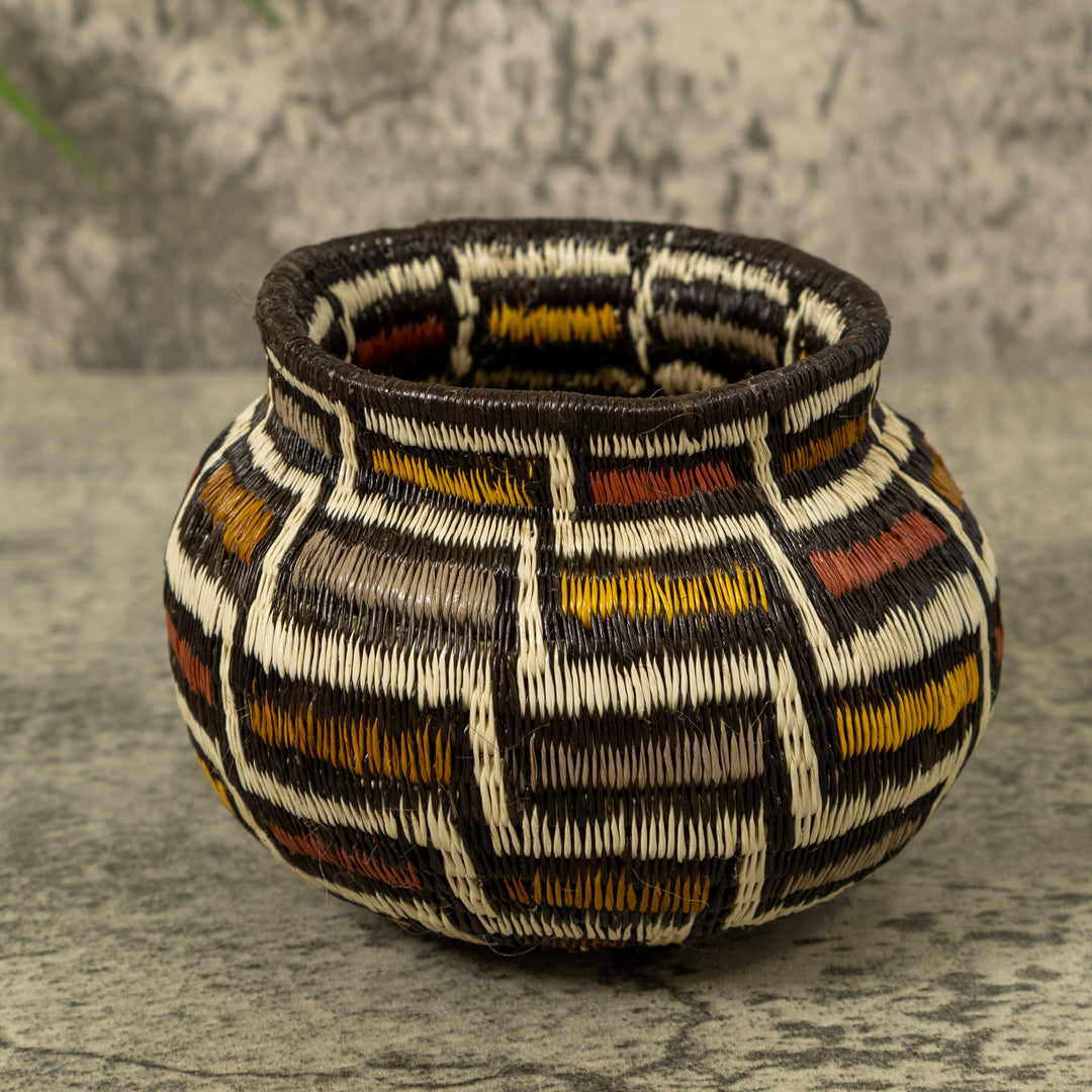 Musical Notes Rainforest Basket