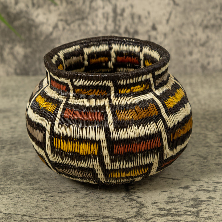 Musical Notes Rainforest Basket