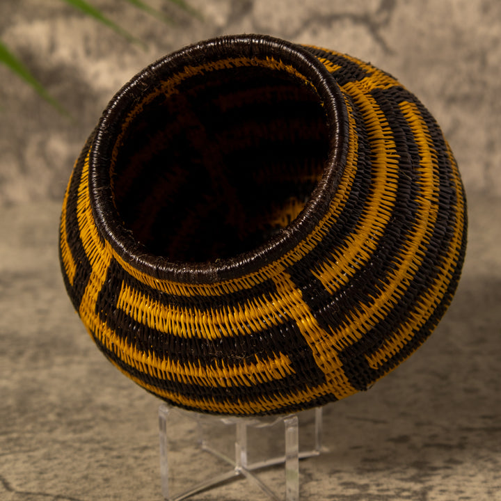 Snake Serenade Rainforest Basket