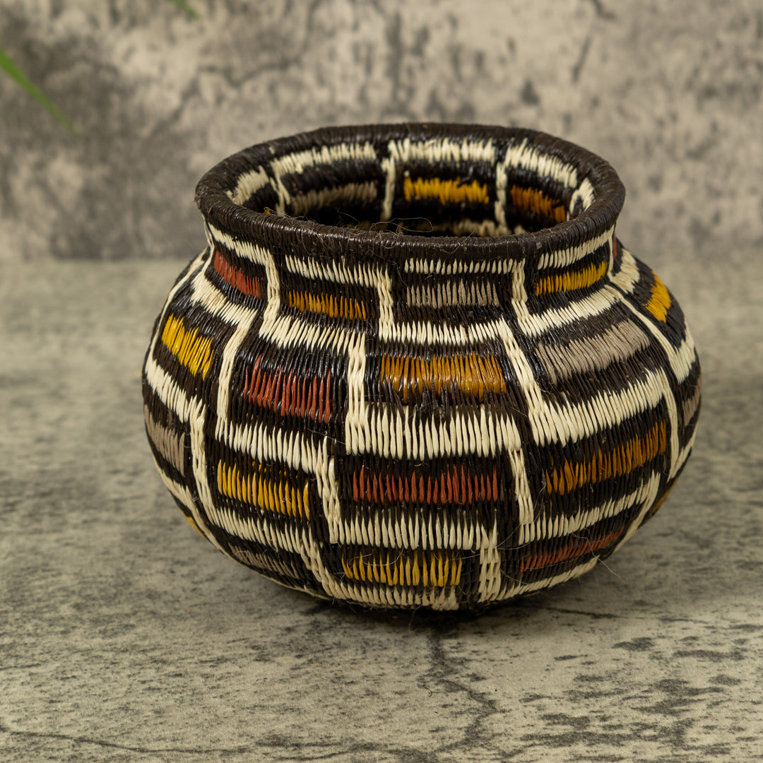 Musical Notes Rainforest Basket