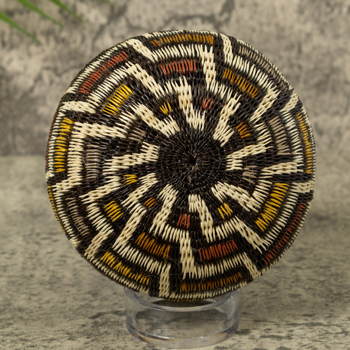 Musical Notes Rainforest Basket