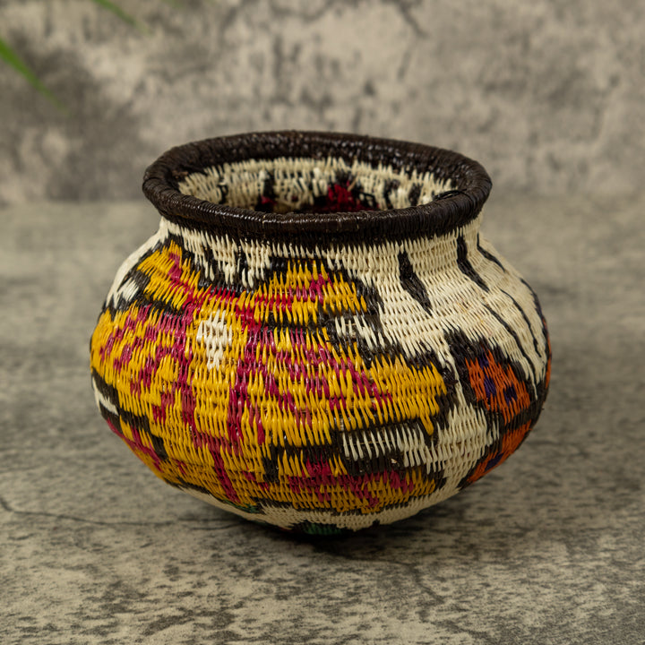 Multi-Color Butterfly Rainforest Basket