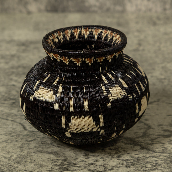 Cat Paw Rainforest Basket