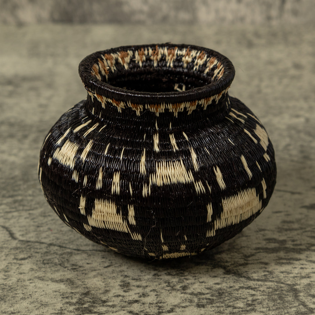 Cat Paw Rainforest Basket