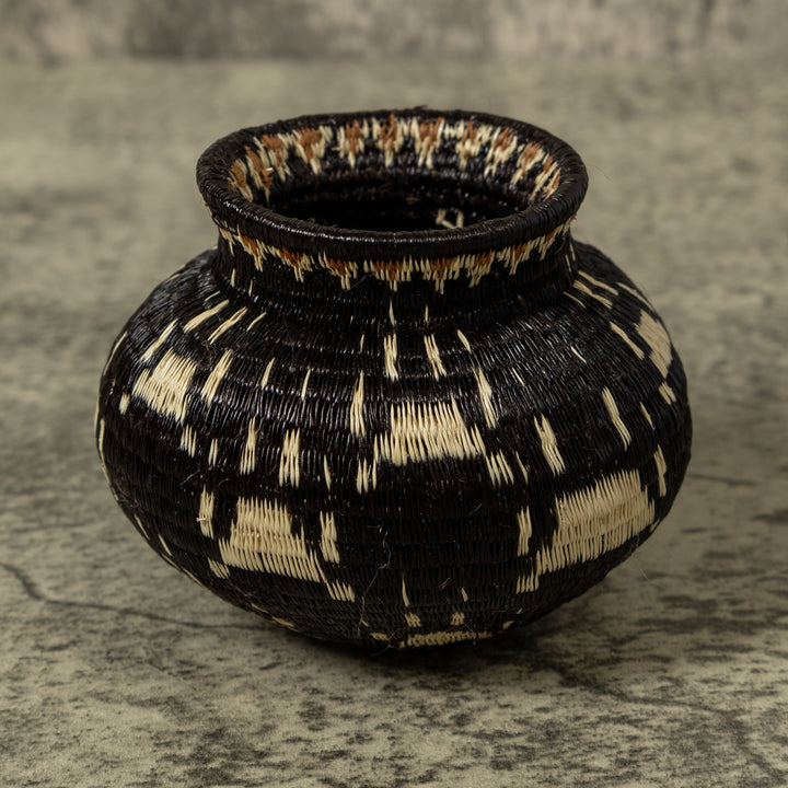 Cat Paw Rainforest Basket