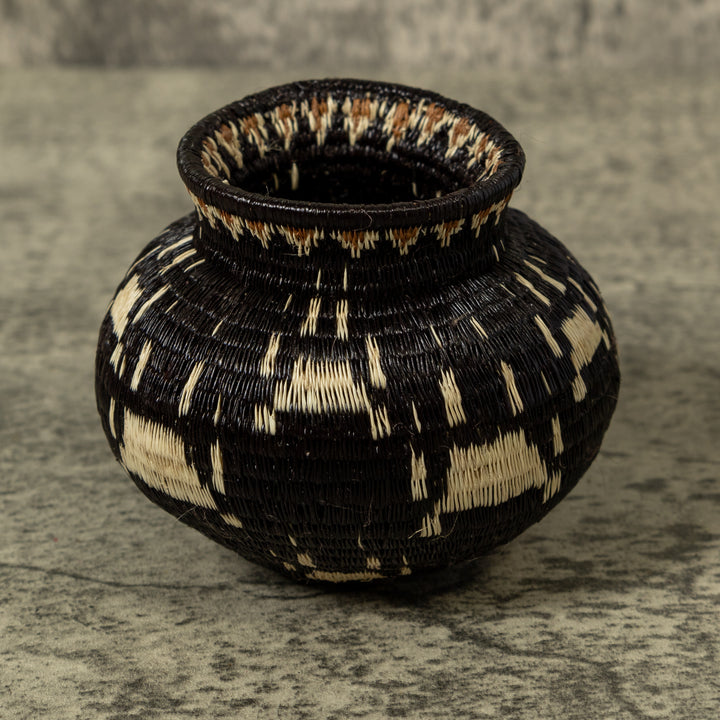 Cat Paw Rainforest Basket