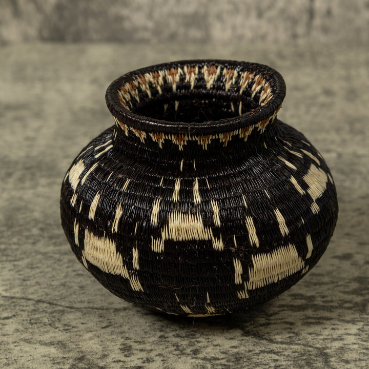 Cat Paw Rainforest Basket