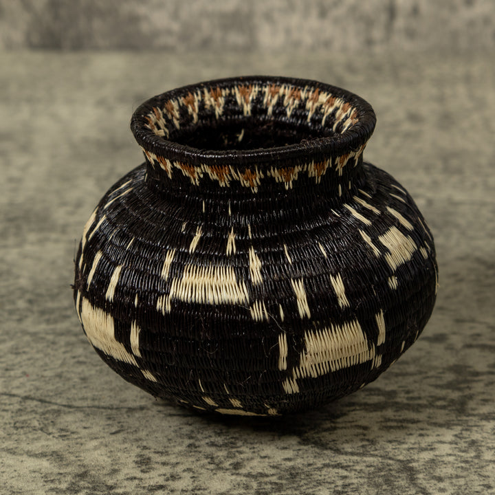 Cat Paw Rainforest Basket