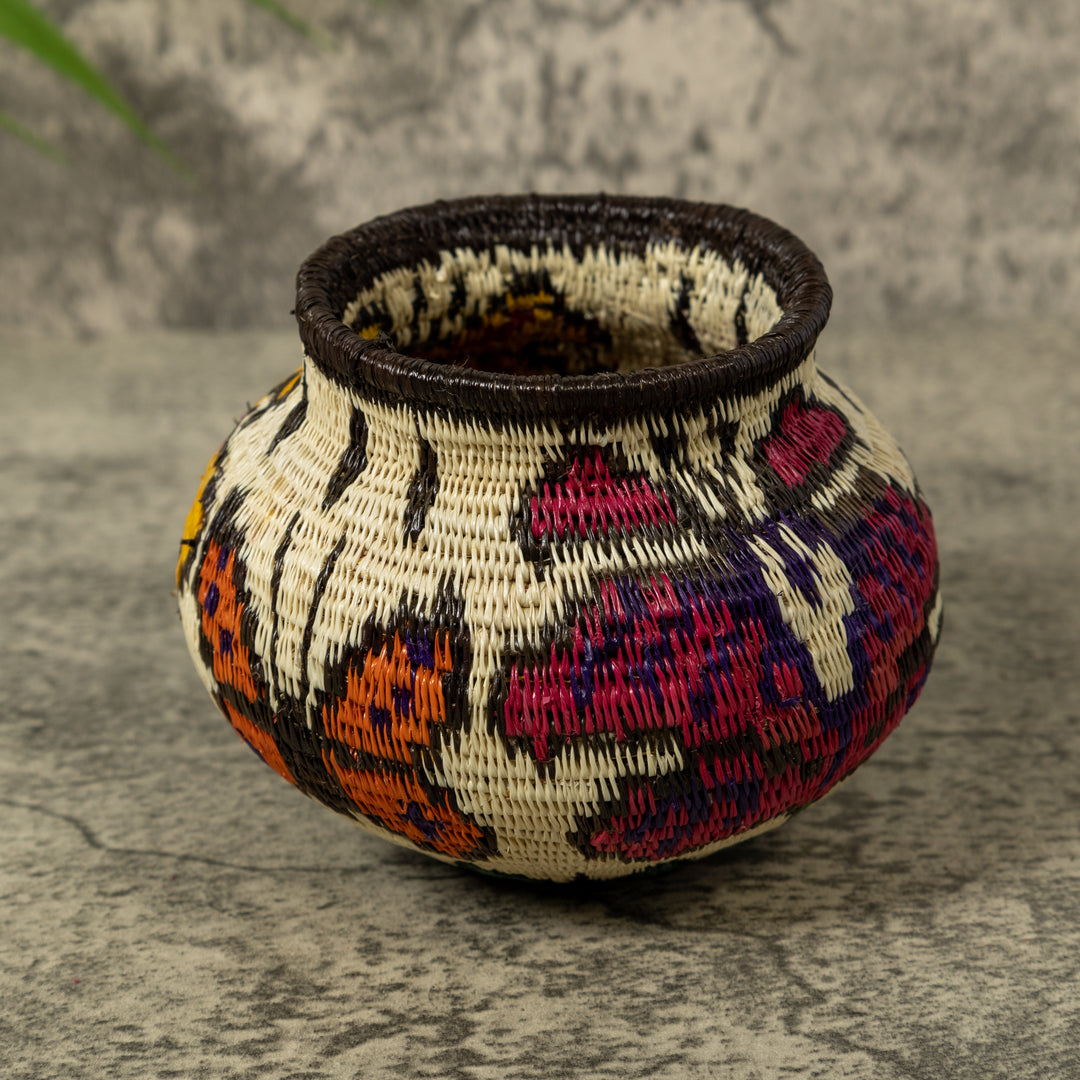 Multi-Color Butterfly Rainforest Basket
