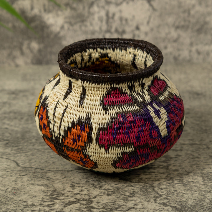 Multi-Color Butterfly Rainforest Basket