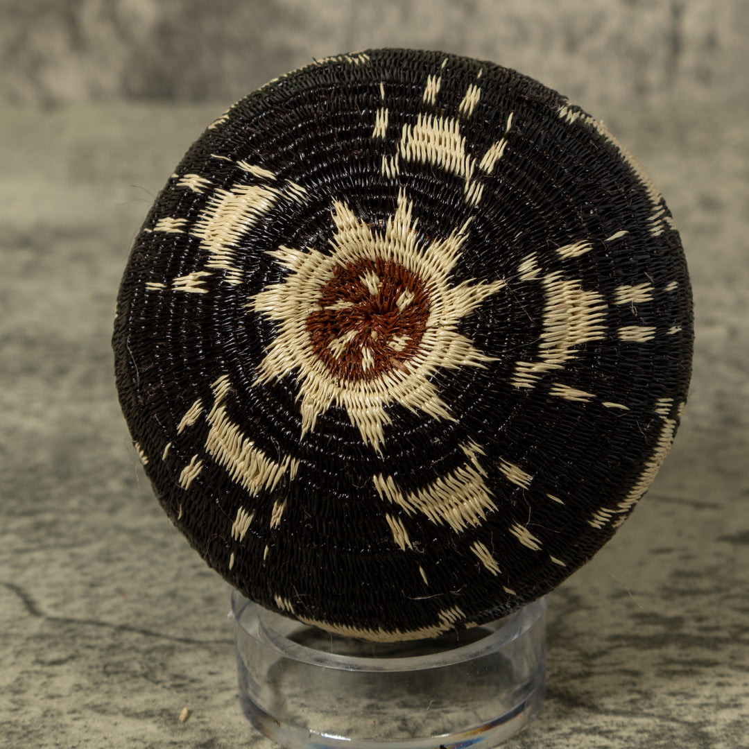 Cat Paw Rainforest Basket