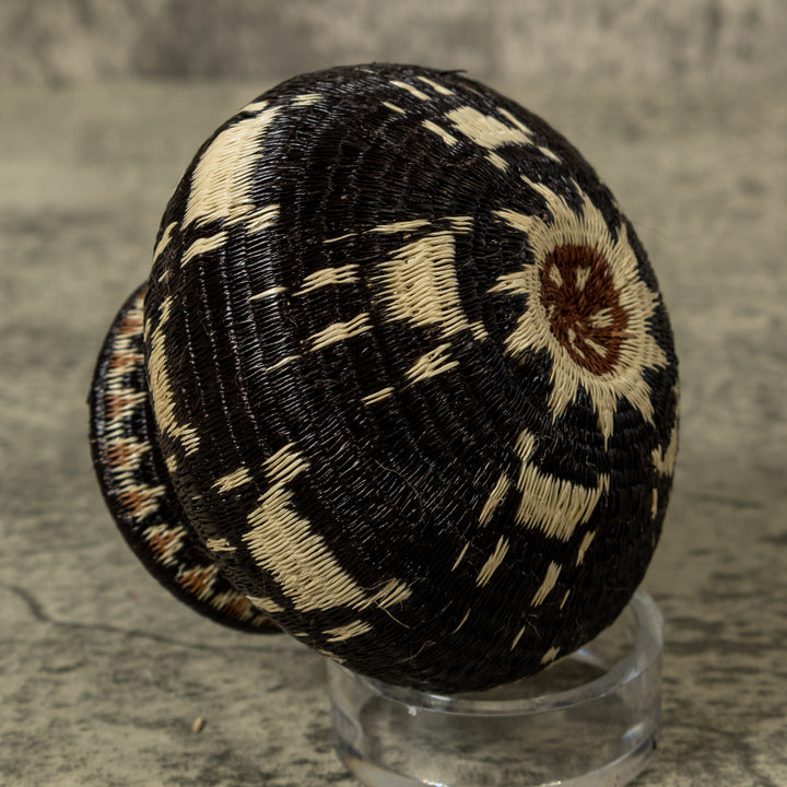 Cat Paw Rainforest Basket