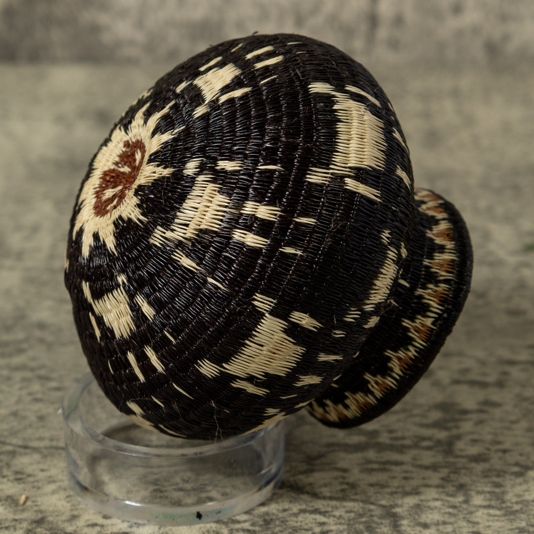 Cat Paw Rainforest Basket