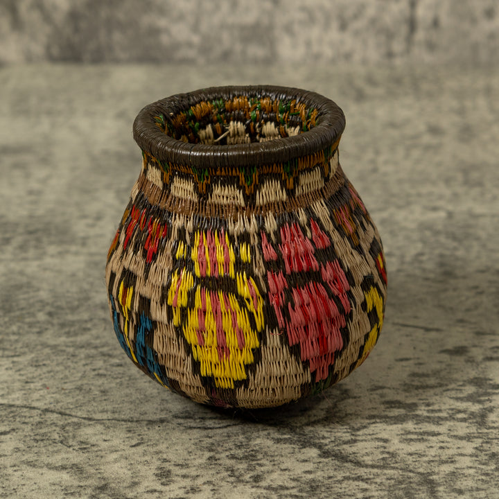 Shoeblackplant Rainforest Basket