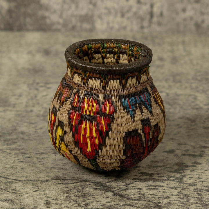 Shoeblackplant Rainforest Basket