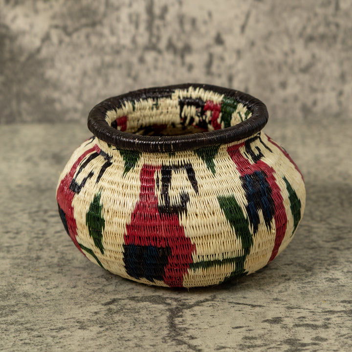 Small Macaw Party Rainforest Basket