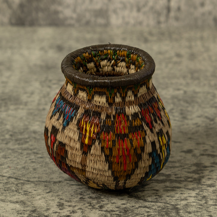 Shoeblackplant Rainforest Basket