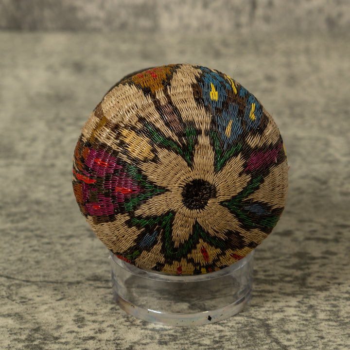 Shoeblackplant Rainforest Basket