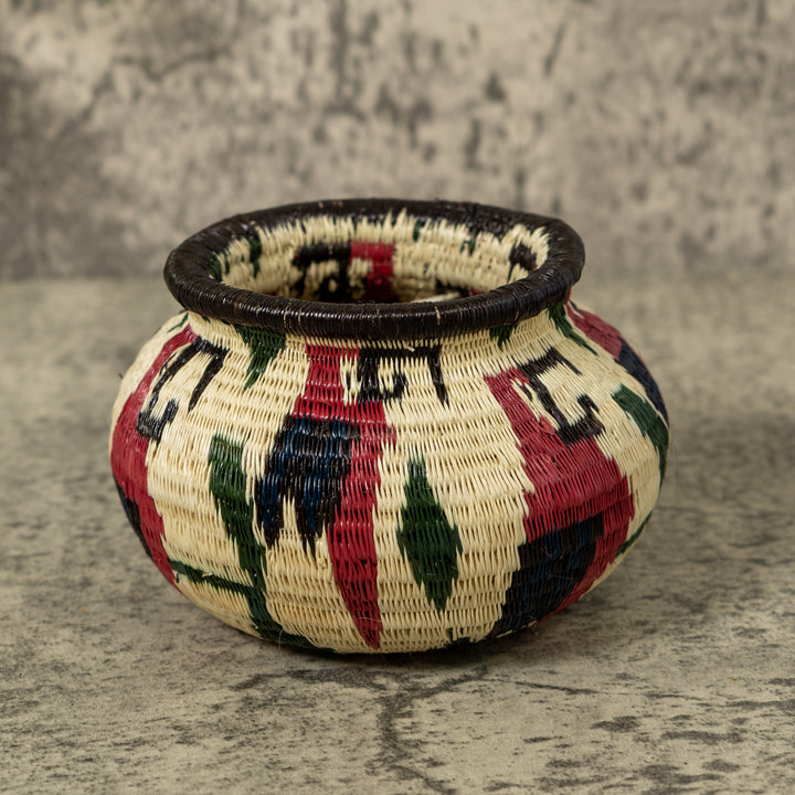 Small Macaw Party Rainforest Basket