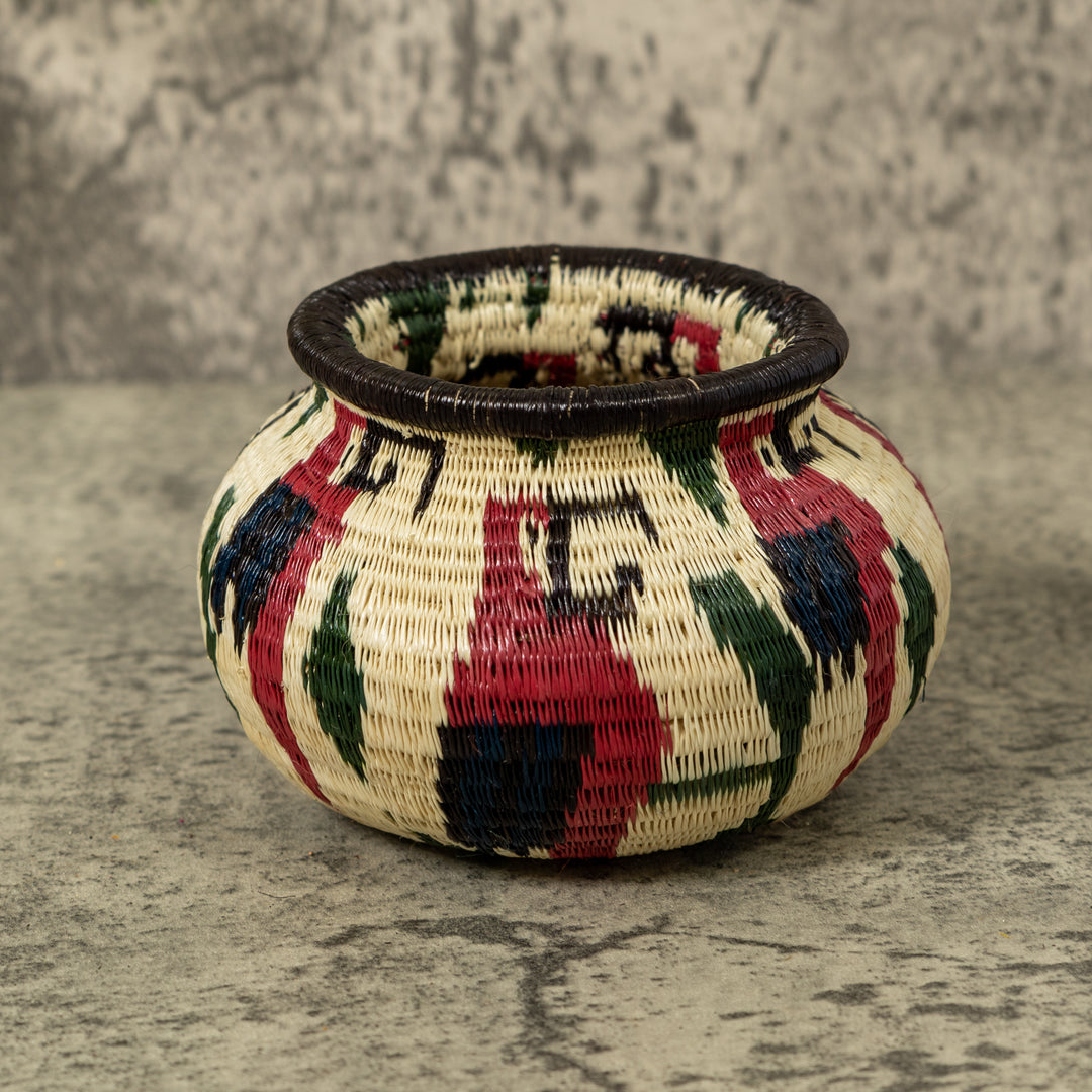 Small Macaw Party Rainforest Basket