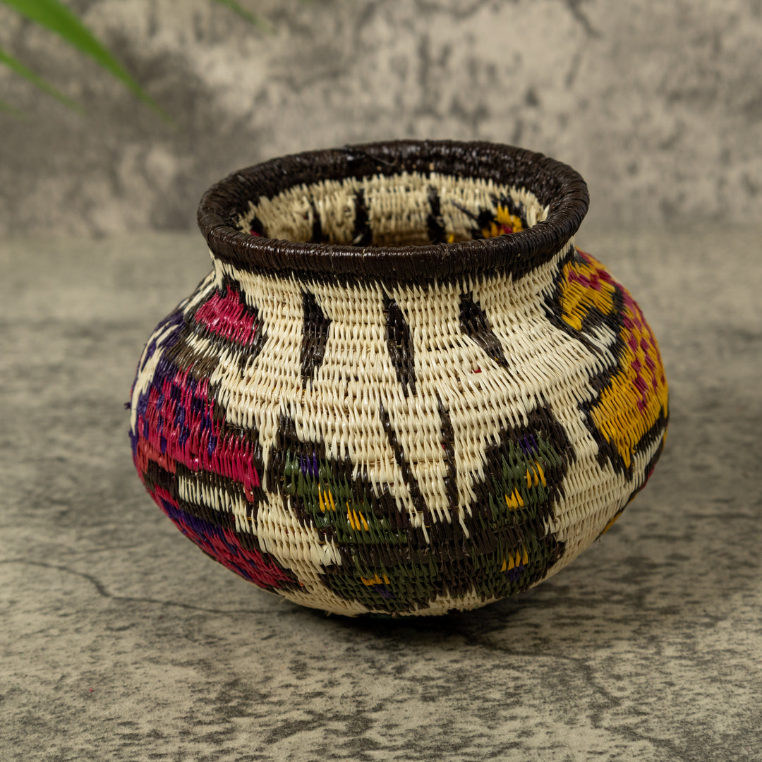 Multi-Color Butterfly Rainforest Basket