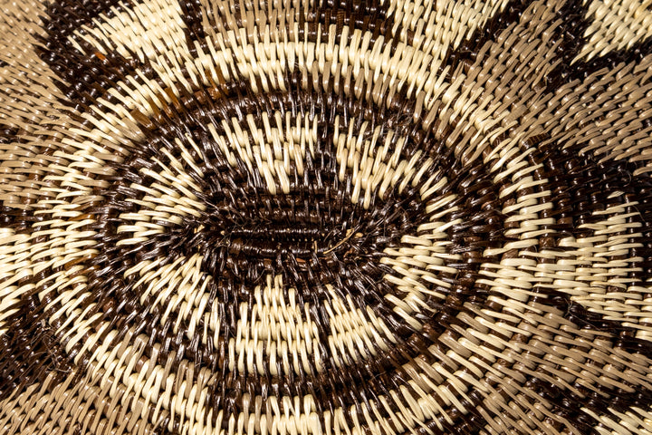 Lightning Bolts Rainforest Basket