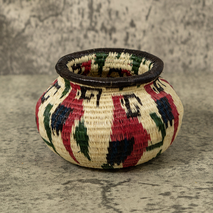 Small Macaw Party Rainforest Basket