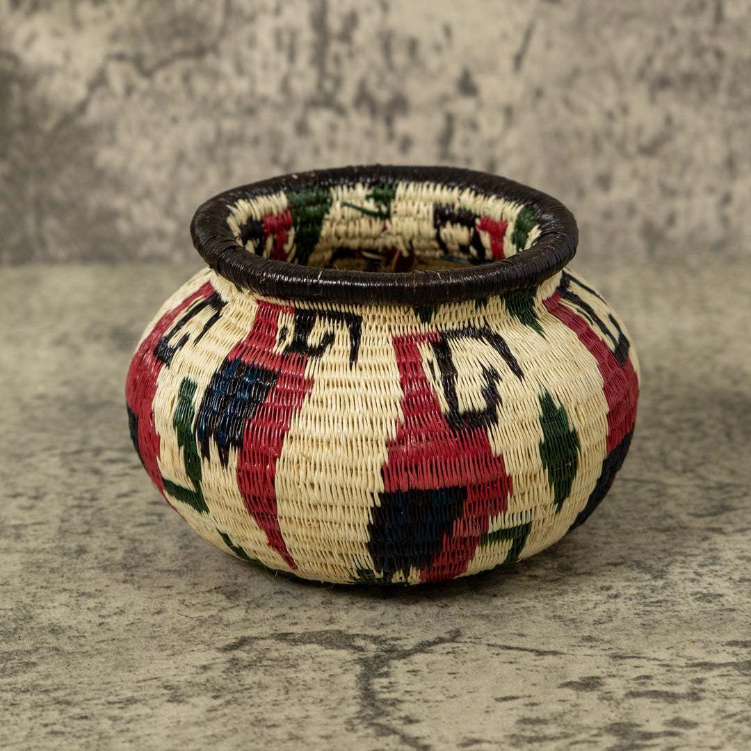 Small Macaw Party Rainforest Basket