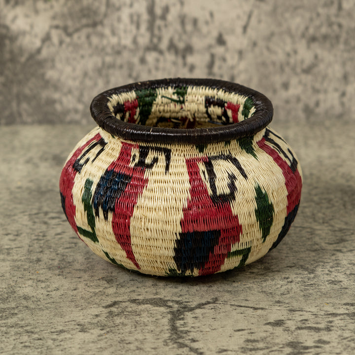 Small Macaw Party Rainforest Basket