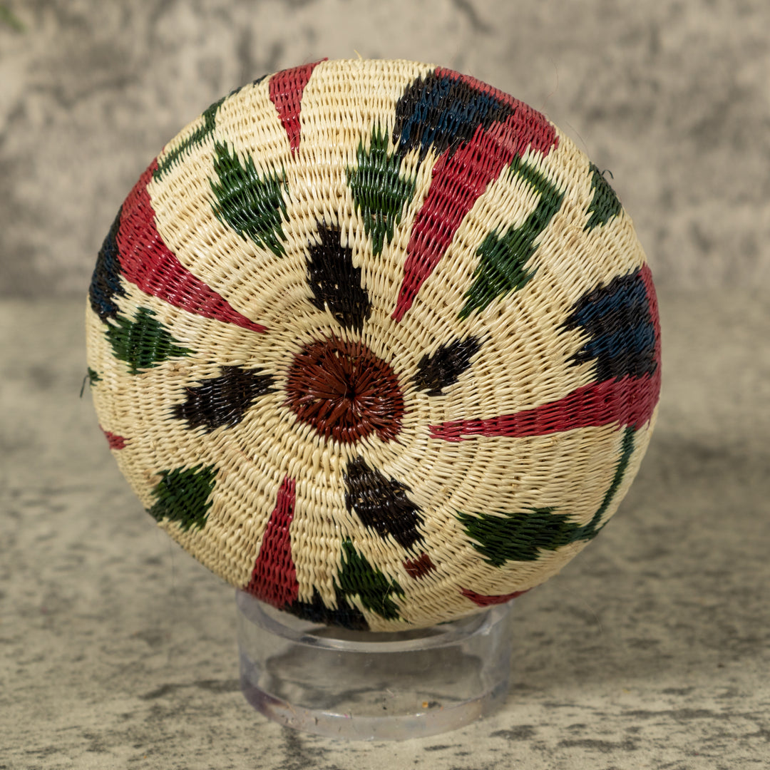 Small Macaw Party Rainforest Basket