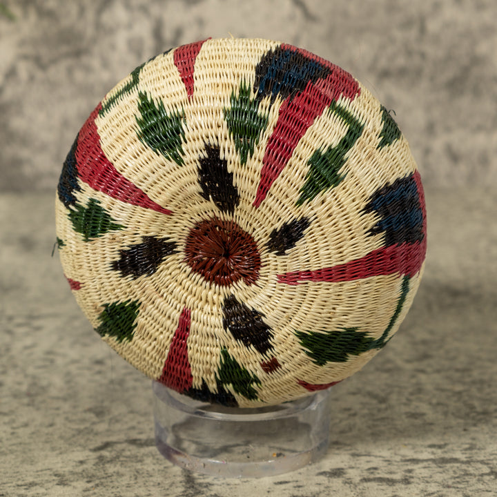 Small Macaw Party Rainforest Basket