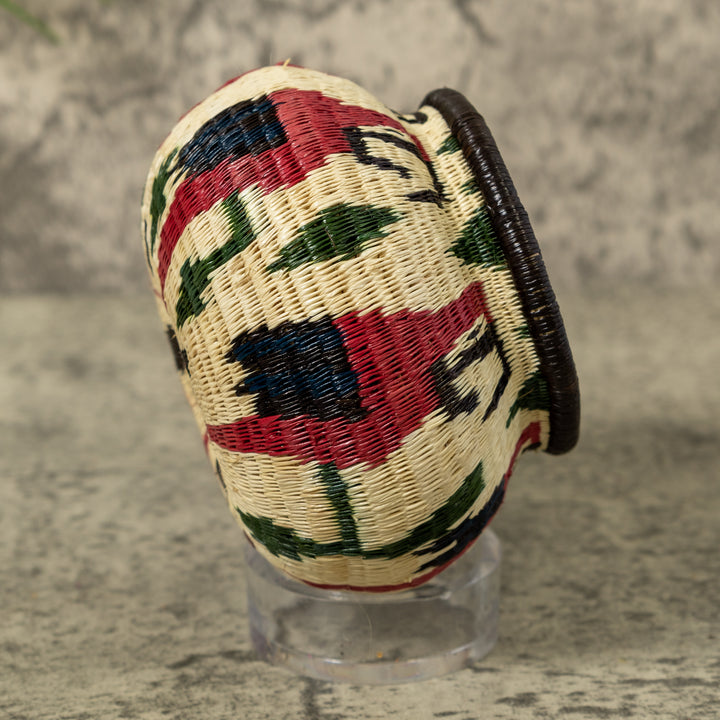 Small Macaw Party Rainforest Basket