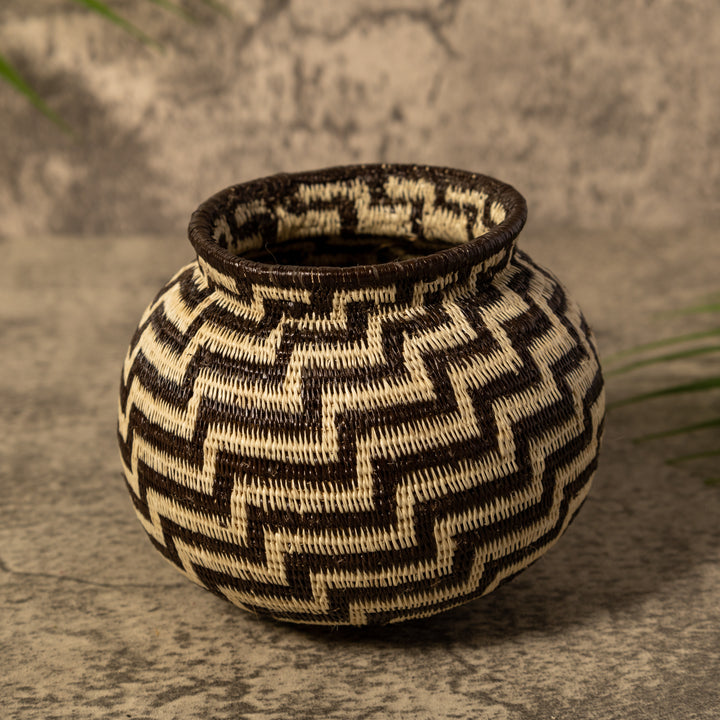 Snake Charm Rainforest Basket
