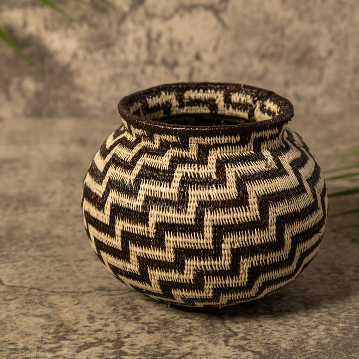 Snake Charm Rainforest Basket