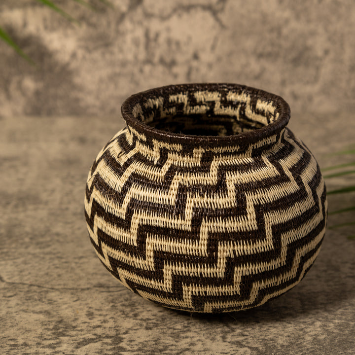 Snake Charm Rainforest Basket