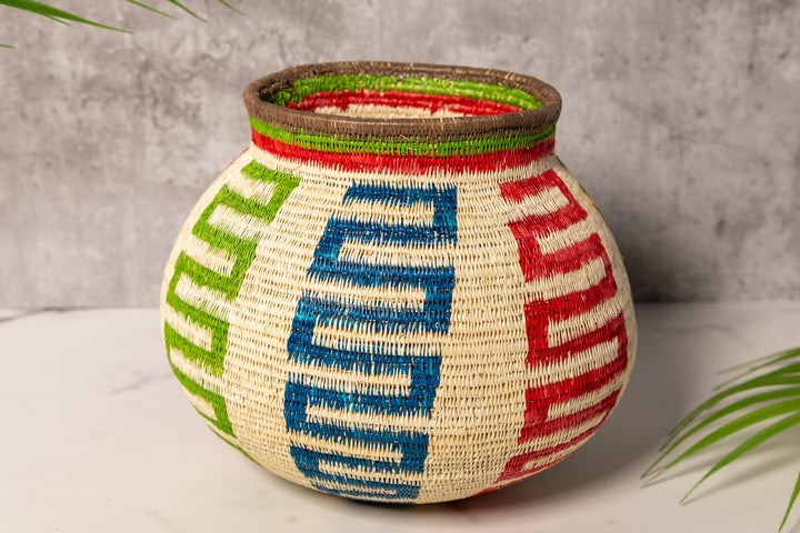 Rainbow Snakes Rainforest Basket